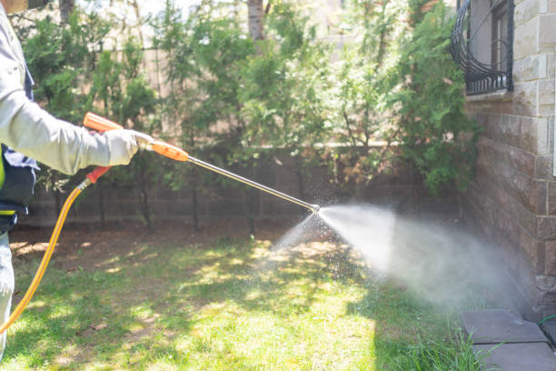 Best Wildlife Control Services  in Lawrenceville, NJ